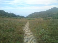 -白草畔自然风景区