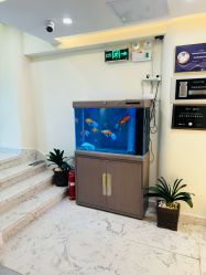 -海涛医疗美容·面部抗衰·注射美鼻