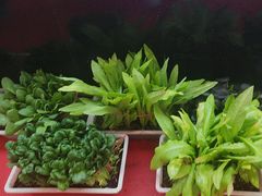 -荣祥海鲜·烟台菜(胜利路二部)