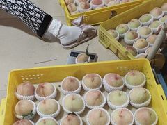 -老袁家蜜桃农场·阳山水蜜桃