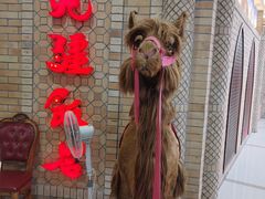 -北疆饭店(吴江店)