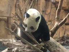 -泉州海丝野生动物世界