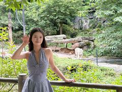 -贵州森林野生动物园