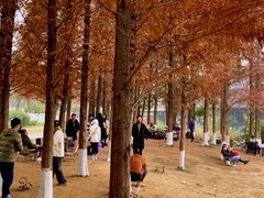 -白鹭湾湿地公园