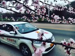 -乔森驾校(杨家坪总校)