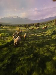 -翱翔飞越地平线