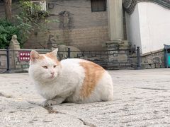 -卢沟桥