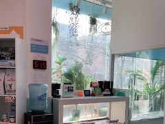 -纳吉亚猫专科动物医院·北北分院
