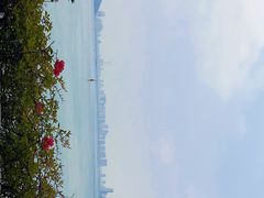 -厦门邮轮中心厦鼓码头(轮渡站)