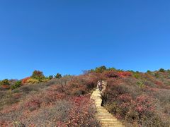 -水峪民俗村