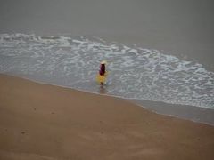 -北岐滩涂