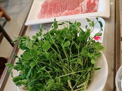 -牛街·马辈儿涮肉(牛街总店)