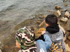 -丁香湖公园