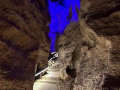 -寻龙山风景旅游区