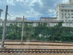 -泸溪河桃酥(秦淮新街口店)