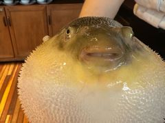 -永安鱼庄·镇江菜(丁卯店)