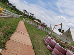 -紫颐香薰山谷景区