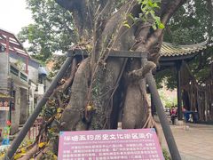 -荔湾湖公园
