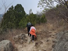 -大觉寺-停车场