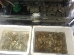 -阿杰臻选海鲜饭店(普陀山店)