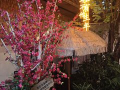 -王捌小院(红花坡店)