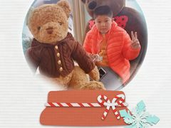 -济州岛泰迪熊博物馆