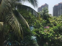 -三亚湾海居铂尔曼度假酒店