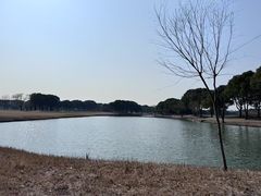 -旭宝高尔夫俱乐部