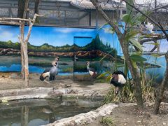 -成都动物园