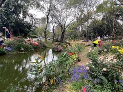 -人民公园(罗湖区)