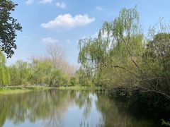 -溱湖国家湿地公园