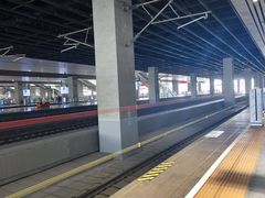 -郑州东站