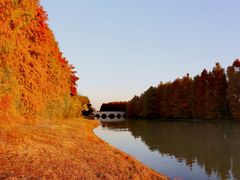 -上海海湾国家森林公园