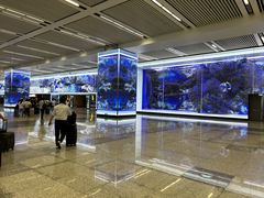 -上海虹桥国际机场