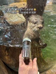 -Zoolung Zoolung动物主题公园(海信广场店)