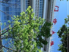 -深圳市中西医结合医院