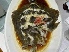 清蒸多宝鱼-鸭王烤鸭店(三里河店)