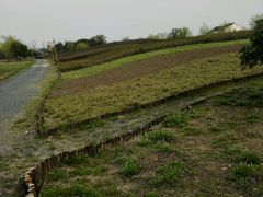 -梁鸿国家湿地公园