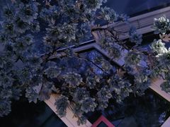 -香浙汇(望京店)