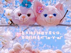 -顾村公园