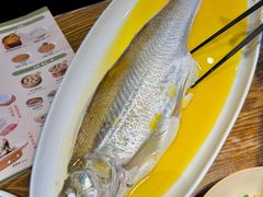 -阿甘小馆(陇海路店)