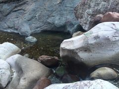 -历山猕猴源景区