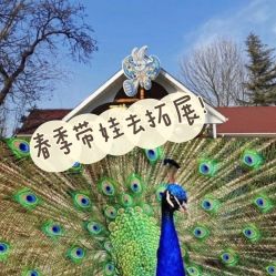 -酷酷兔少儿拓展天地
