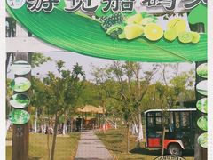 -上海长兴岛郊野公园