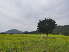 -艾米稻香小镇