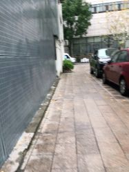 -金太子形象设计