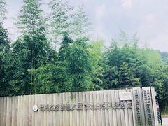 -都江堰中华大熊猫苑