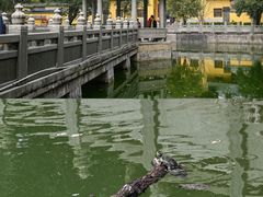 -南华禅寺