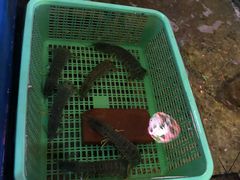 -灯笼馆海鲜餐厅