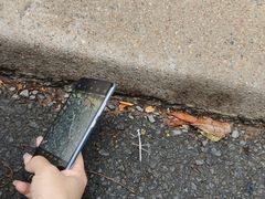-热带雨林自然公园